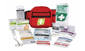 Compact First Aid Motorist Kit